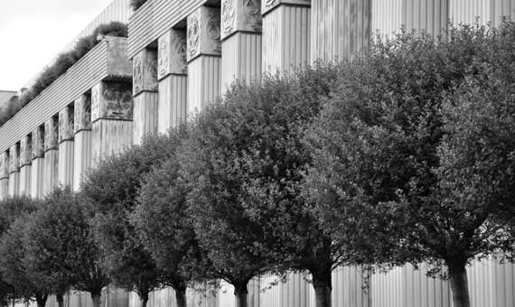 Kasacja – gdy apelacja zawiodła