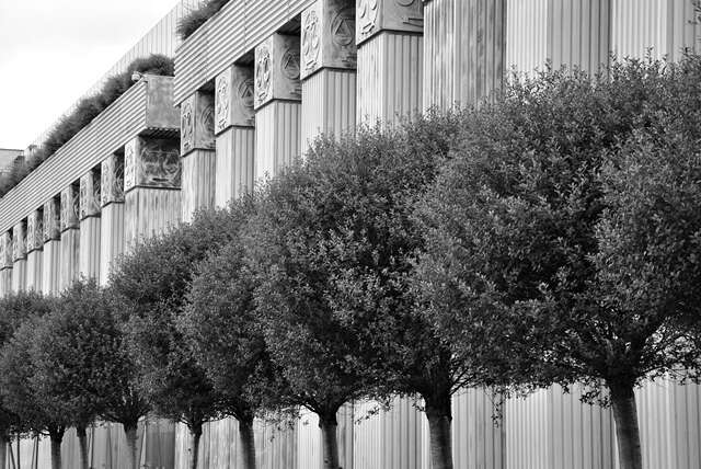 Kasacja – gdy apelacja zawiodła