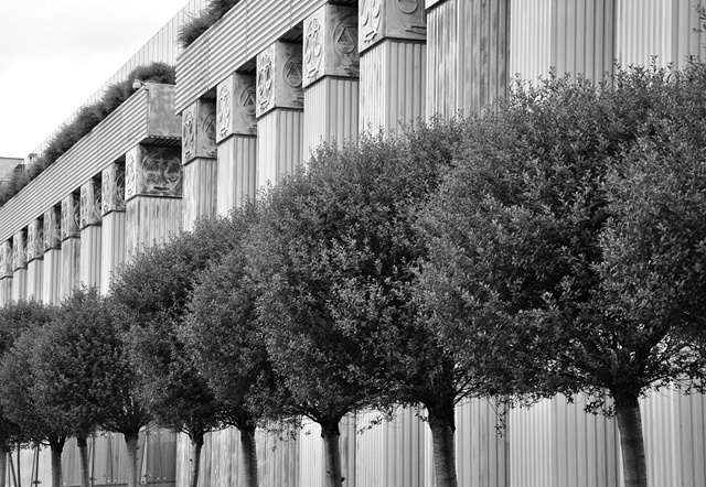 Kasacja – gdy apelacja zawiodła